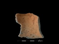 陶片藏品圖，第1張