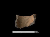 陶片藏品圖，第2張