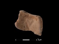 陶片藏品圖，第2張