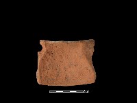 陶片藏品圖，第2張