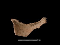 陶片藏品圖，第2張