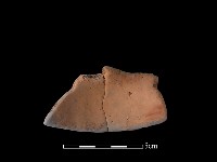 陶片藏品圖，第1張