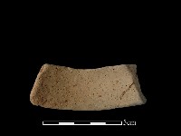 陶片藏品圖，第2張