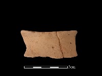 陶片藏品圖，第2張