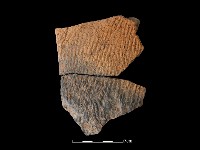 陶片藏品圖，第1張