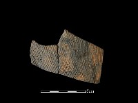 陶片藏品圖，第1張