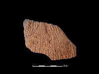 陶片藏品圖，第1張