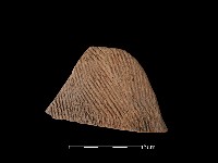 陶片藏品圖，第1張