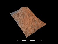 陶片藏品圖，第1張