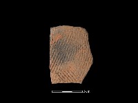 陶片藏品圖，第1張