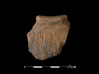 陶片藏品圖，第1張