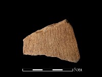 陶片藏品圖，第1張