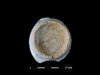 瓷碗藏品圖，第2張