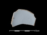 瓷碗藏品圖，第2張