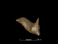 陶壺藏品圖，第1張