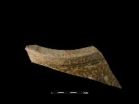 陶缸藏品圖，第2張