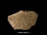 火爐藏品圖，第2張