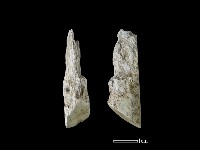 錛鑿形器藏品圖，第1張