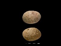 石鎚藏品圖，第2張