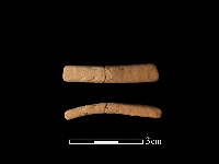 陶環藏品圖，第1張