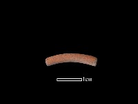 陶環藏品圖，第1張