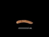 陶環藏品圖，第1張