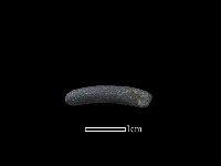 陶環藏品圖，第1張