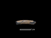 陶環藏品圖，第1張