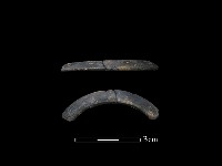 陶環藏品圖，第1張