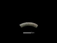 陶環藏品圖，第1張