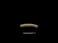 陶環藏品圖，第1張