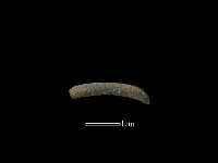 陶環藏品圖，第1張