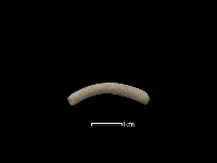 陶環藏品圖，第1張