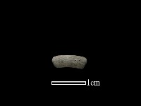 陶環藏品圖，第1張