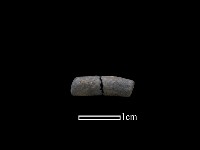 陶環藏品圖，第1張