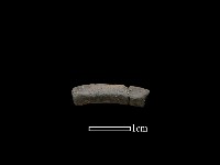 陶環藏品圖，第1張