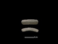 陶環藏品圖，第1張