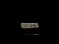 陶環藏品圖，第1張