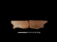 陶罐藏品圖，第3張