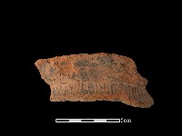 陶罐藏品圖，第2張