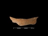 豆形器藏品圖，第1張