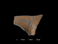 連杯形器藏品圖，第2張