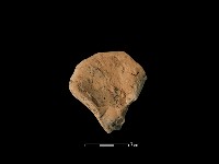 連杯形器藏品圖，第1張