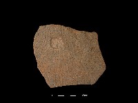 陶片藏品圖，第1張