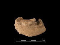 陶罐藏品圖，第2張