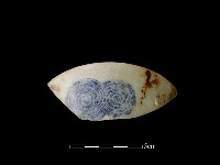 瓷片藏品圖，第1張