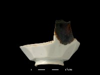 瓷碗藏品圖，第1張