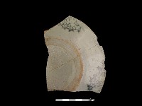 瓷盤藏品圖，第1張