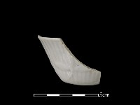 瓷杯藏品圖，第1張