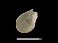 湯匙藏品圖，第2張